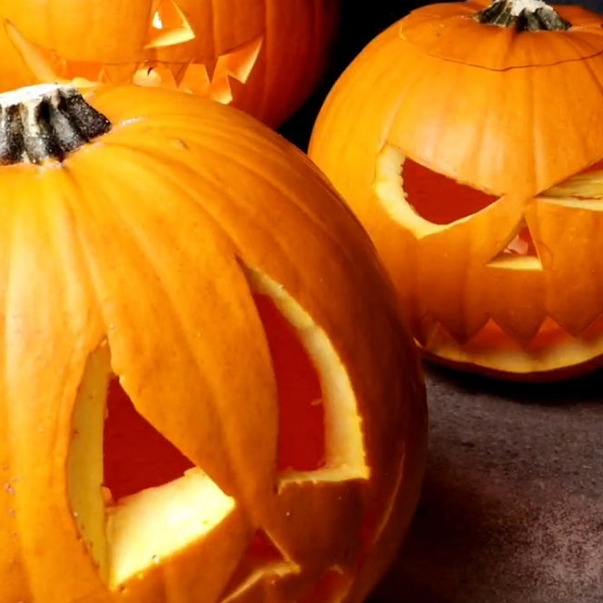 Pumpkin Giveaway: Win a $500 Gift Card This Halloween!