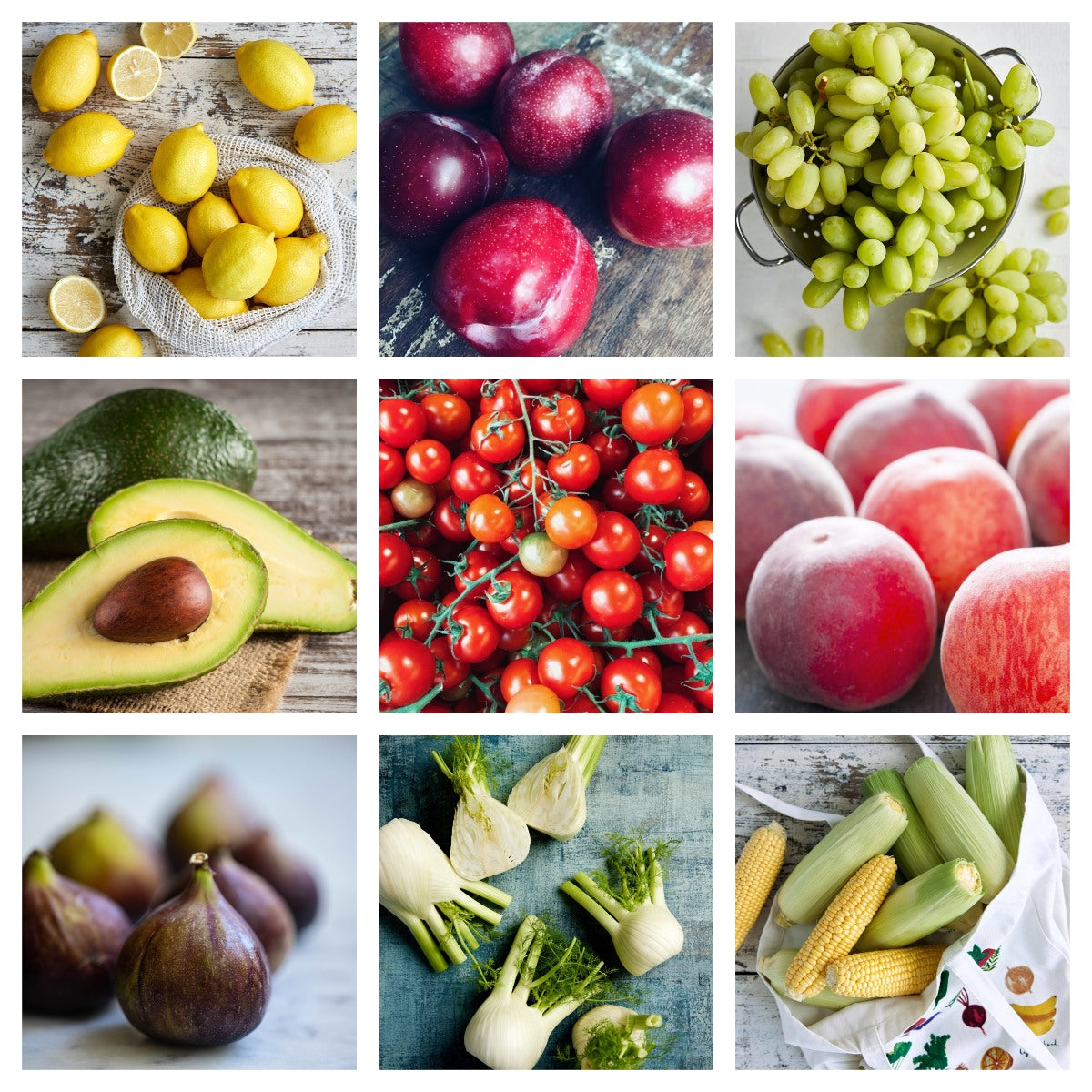 Dave's Market Update NSW - 8 March 2023