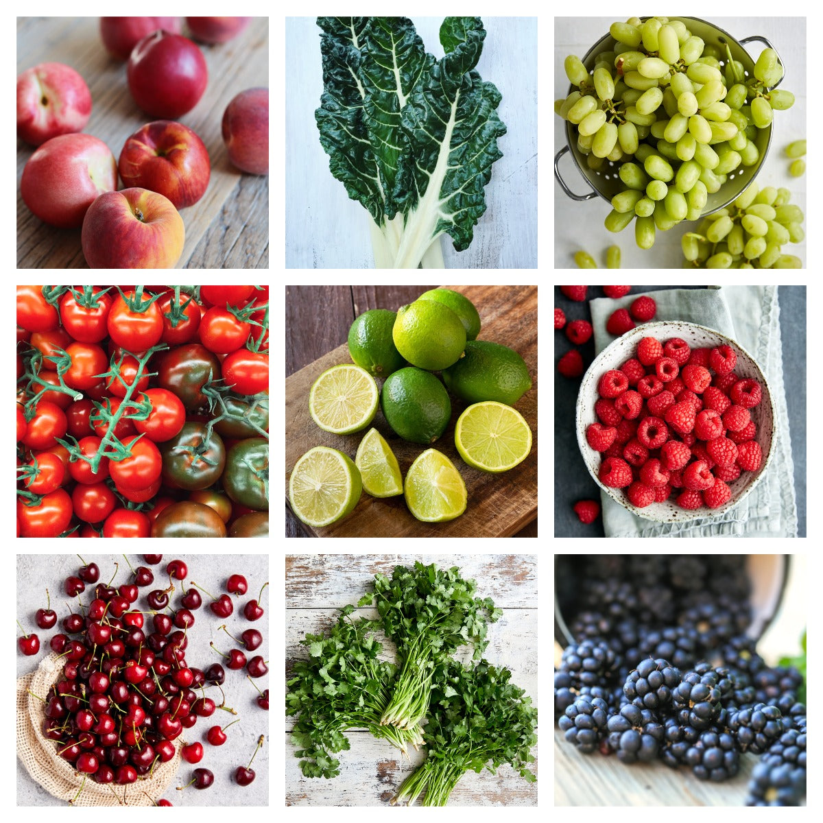Dave's Market Update - 12 January 2023