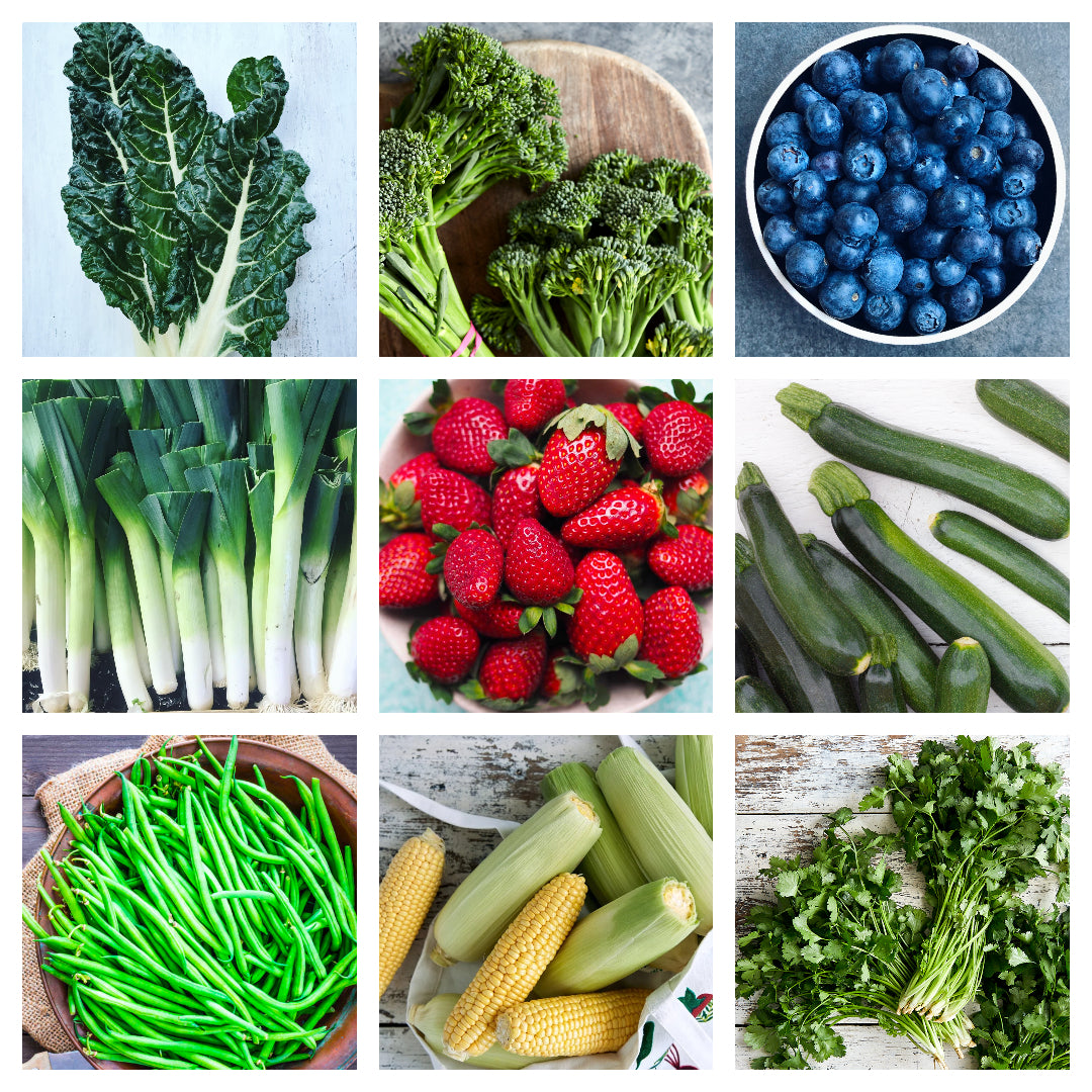 Dave's Market Update - 7 September 2022
