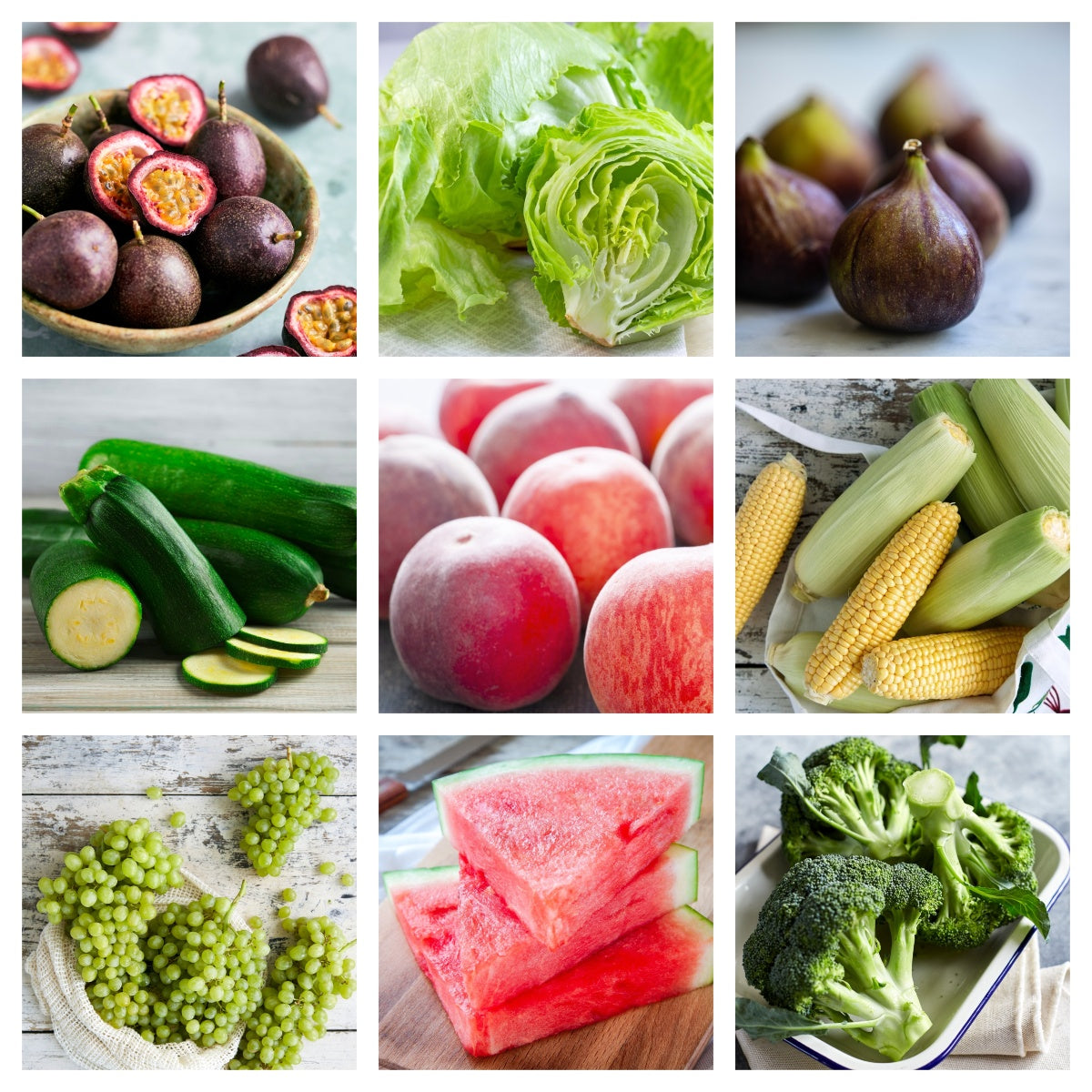 Dave's Market Update NSW - 15 February 2023