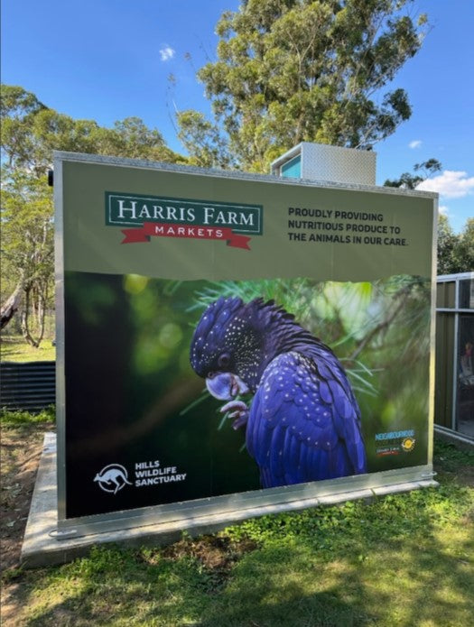 Caring for Wildlife Together: Our Partnership with Hills Wildlife Sanctuary