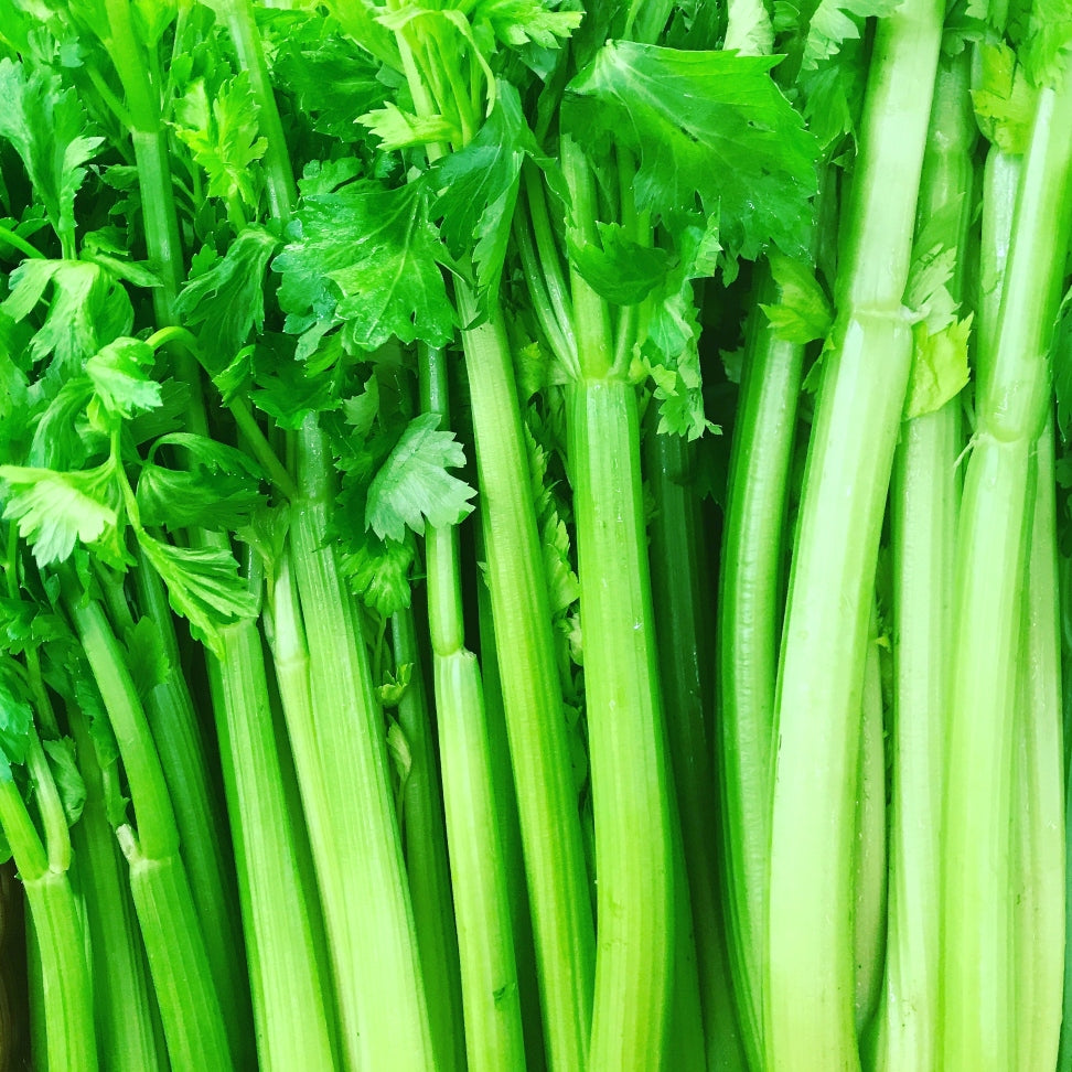 Pick of the Week - Celery