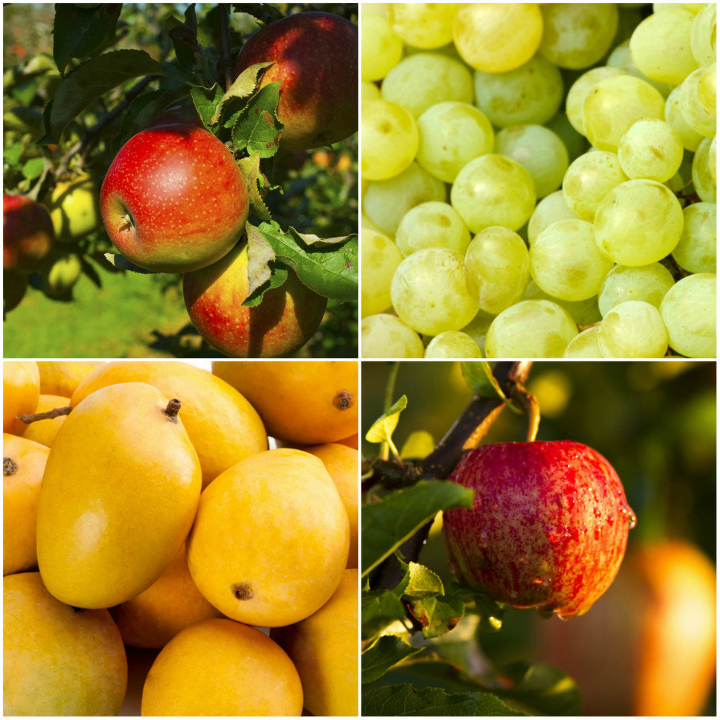 Dave's Market Update 03.03.15