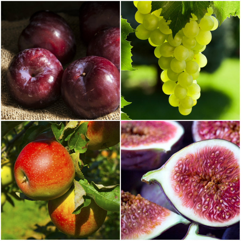 Dave's Market Update - 24.02.15