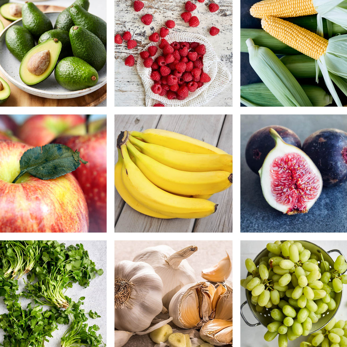 Dave's Market Update - 19 April 2023