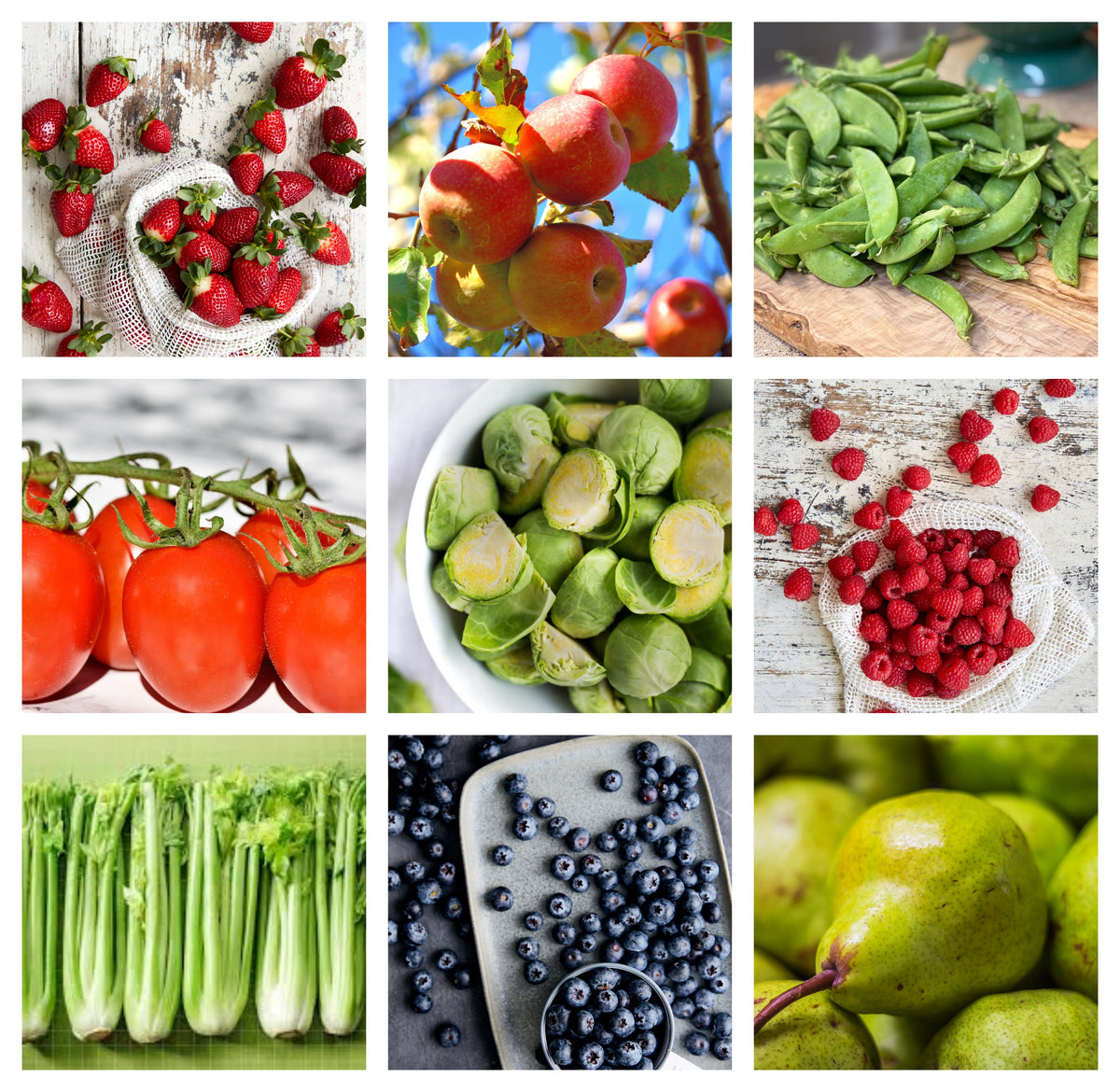Dave's Market Update & Pick of the Week - Brussels Sprouts - 17 July 2024