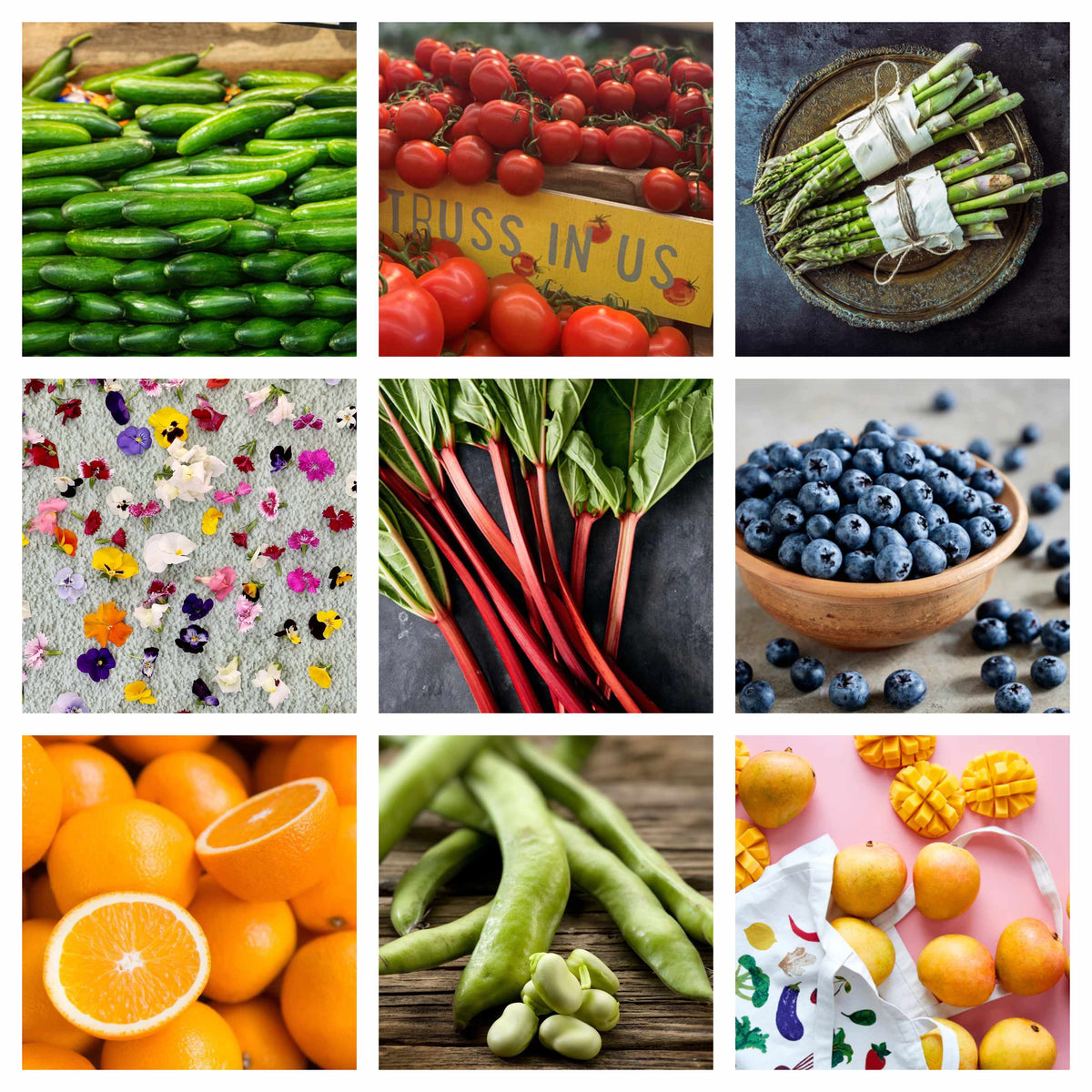 Dave's Market Update - 27 September 2023