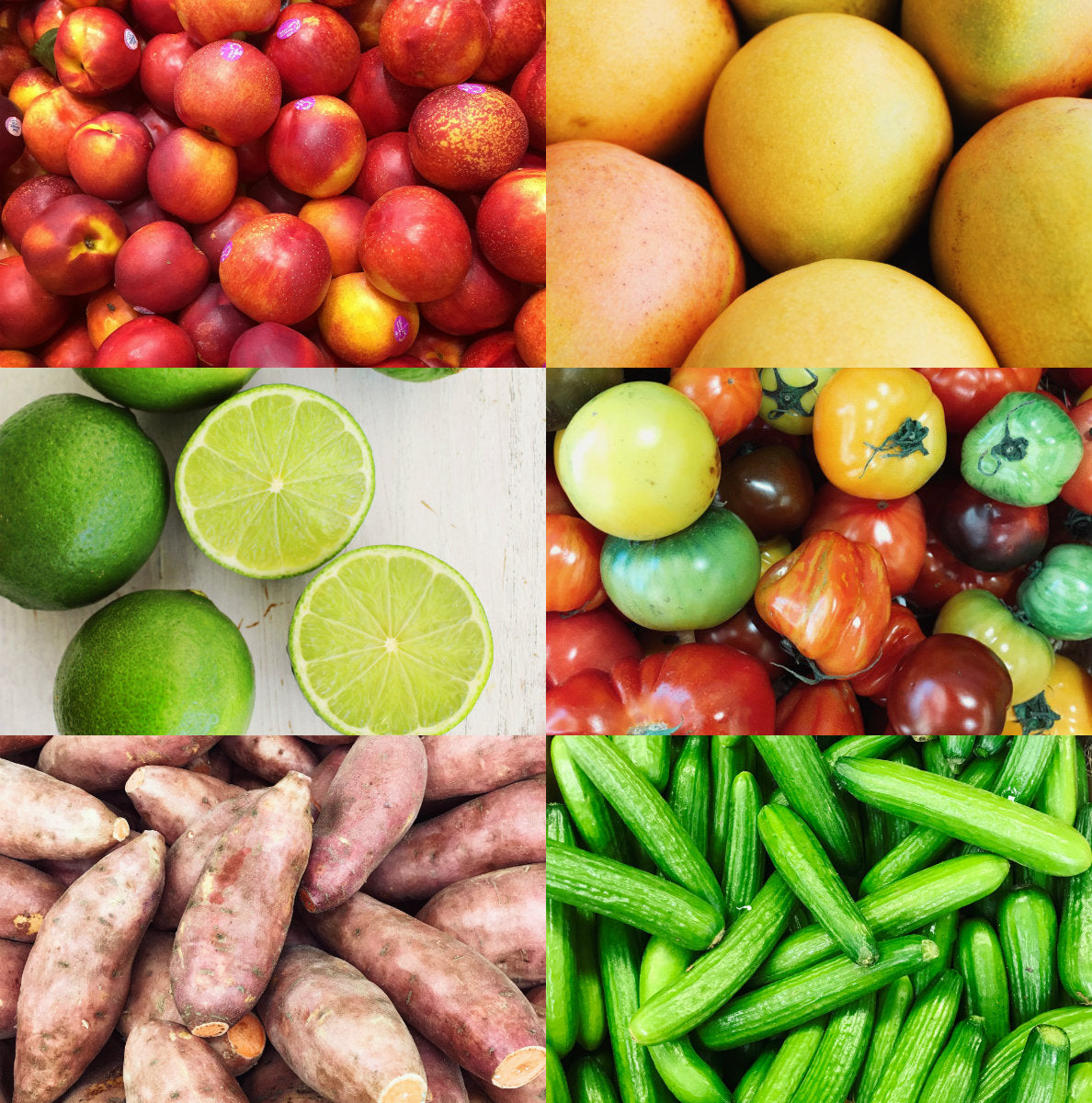 Harris Farm Markets | Market Update