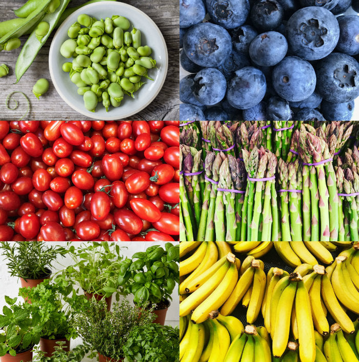 Dave's Market Update | Harris Farm Markets 
