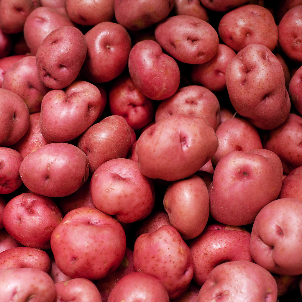 Pick of the Week - Ruby Lou potatoes
