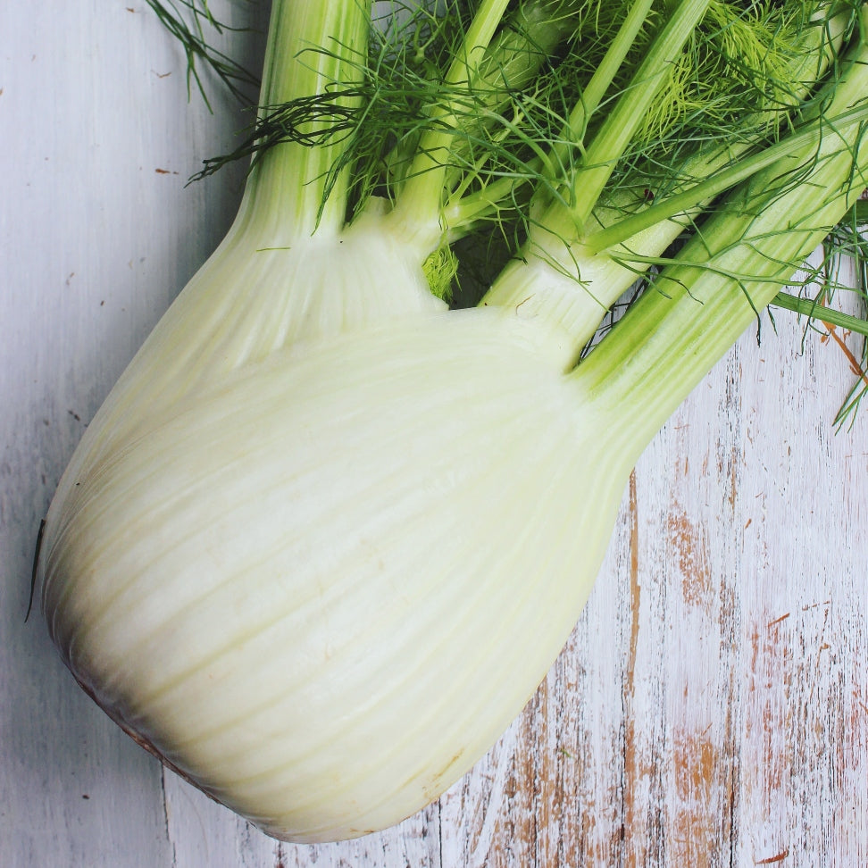 Pick of the Week - Fennel