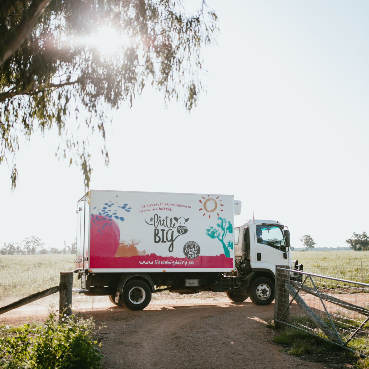 Introducing Little Big Dairy Co: Our New Pour-Your-Own Single Source Milk Supplier