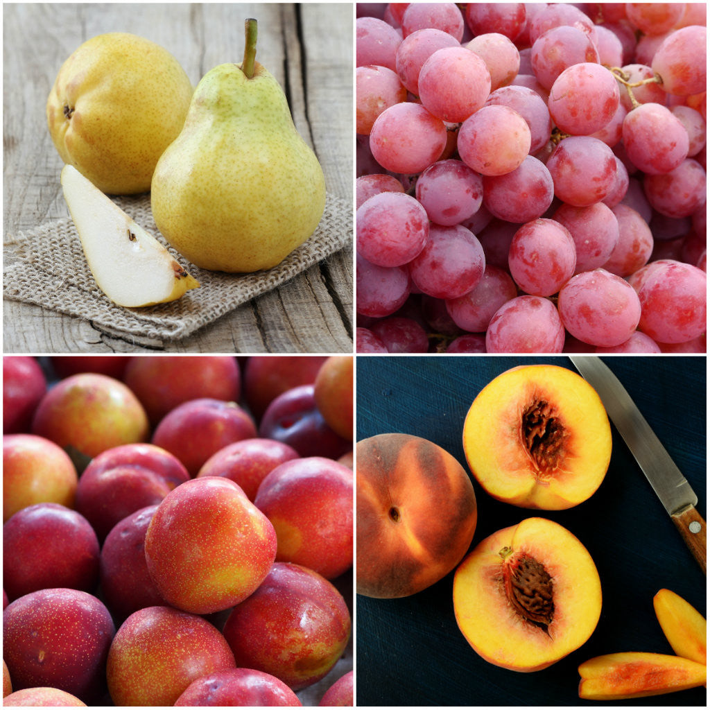 Dave's Market Update 03.03.15