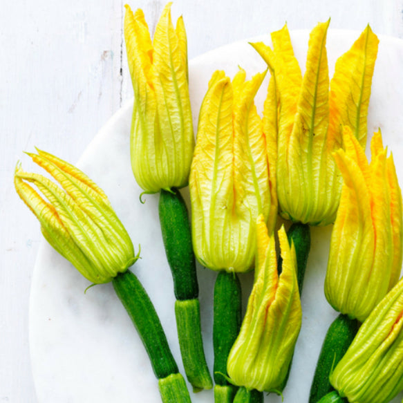 Zucchini Flowers