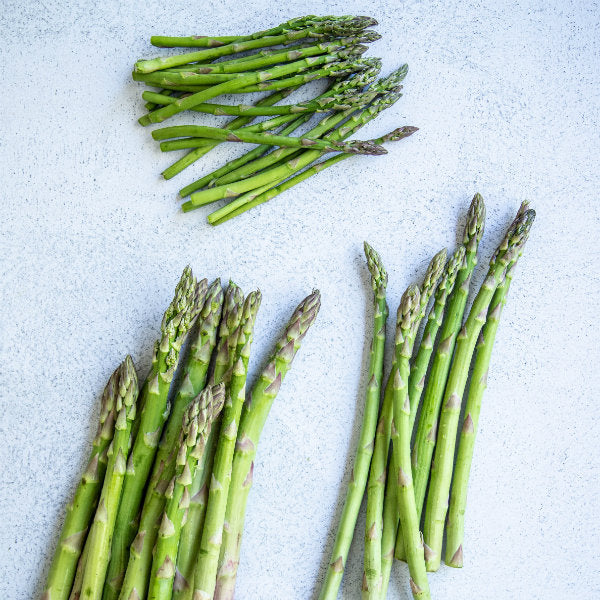 guide to asparagus | harris farm