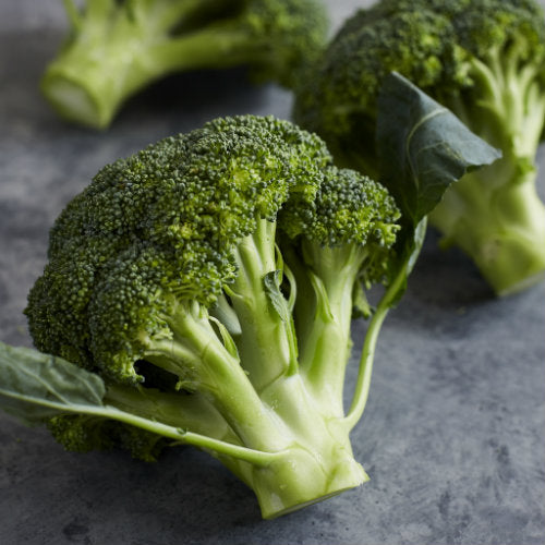 broccoli pick of the week harris farm
