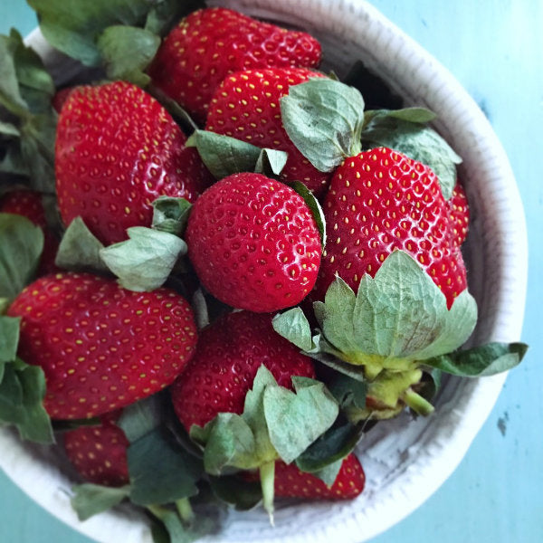 buy new season queensland strawberries