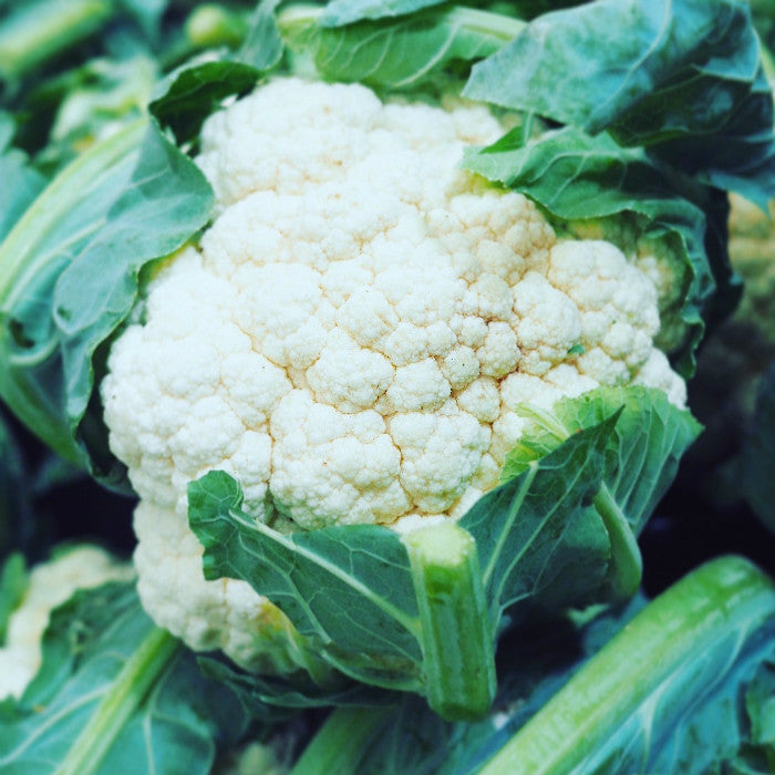 cauliflower pick of the week