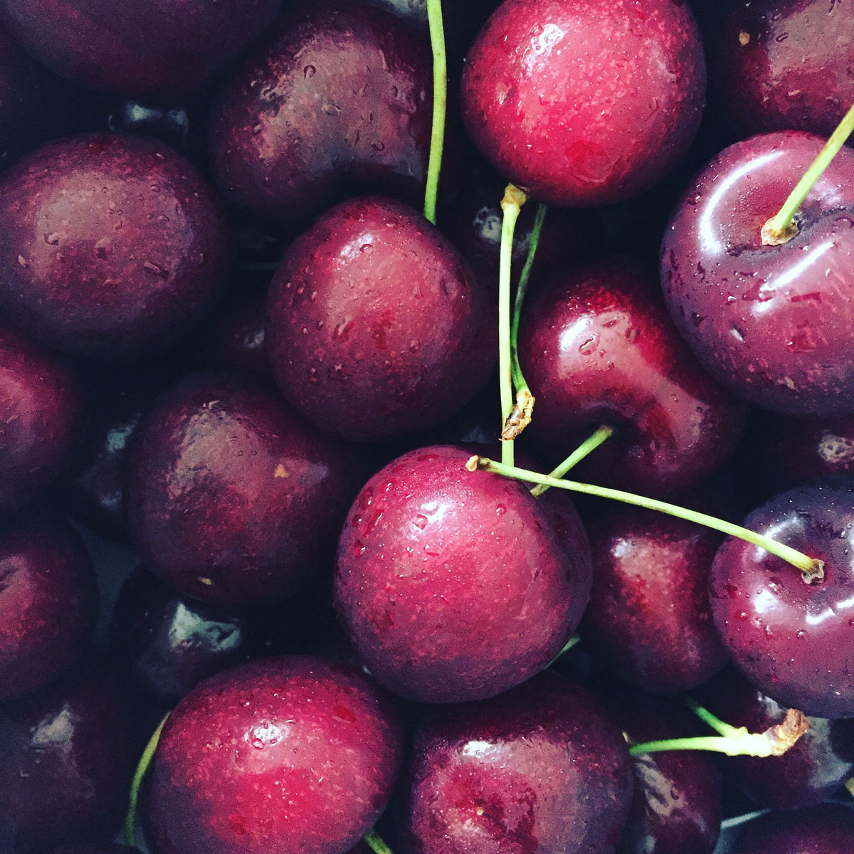Pick of the Week - Beautiful Big Plump Juicy Cherries