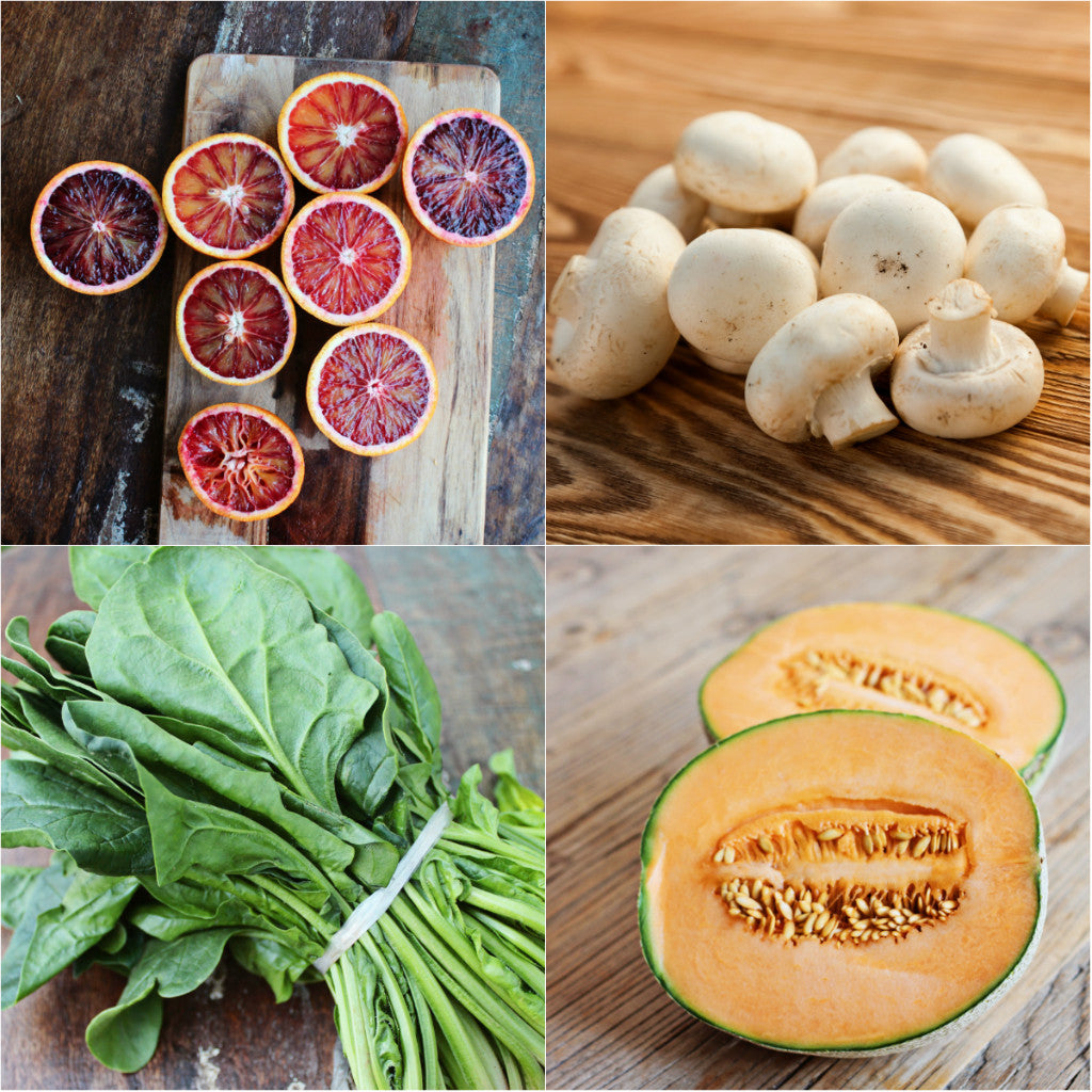 Dave's Market Update - 23.08.16