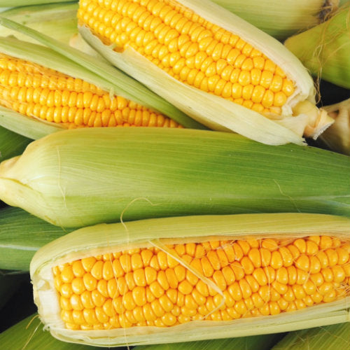pick of the week corn