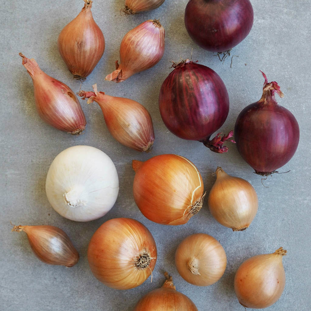 Know Your Onions