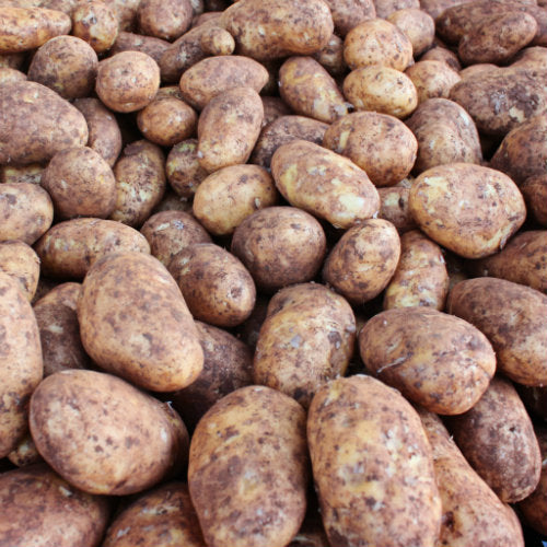 Pick of the Week - Dutch Cream Potatoes