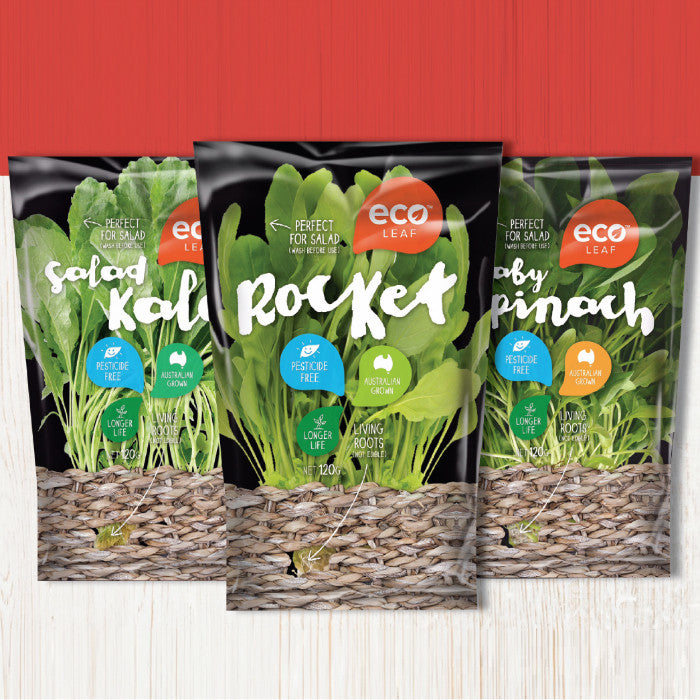 ecoLEAF salads: You gotta give these a go!