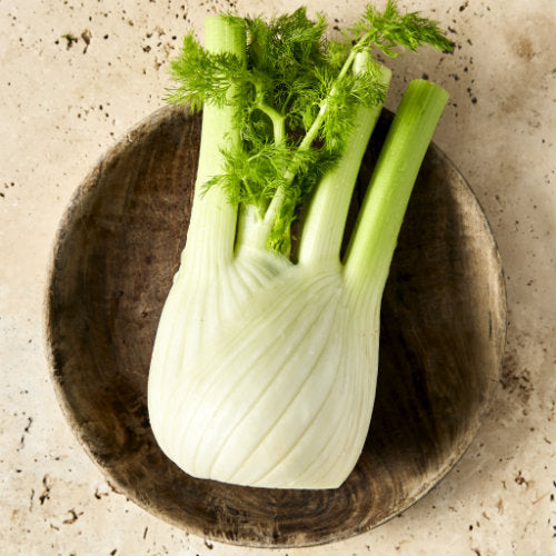 Pick of the Week Fennel | Harris Farm Markets