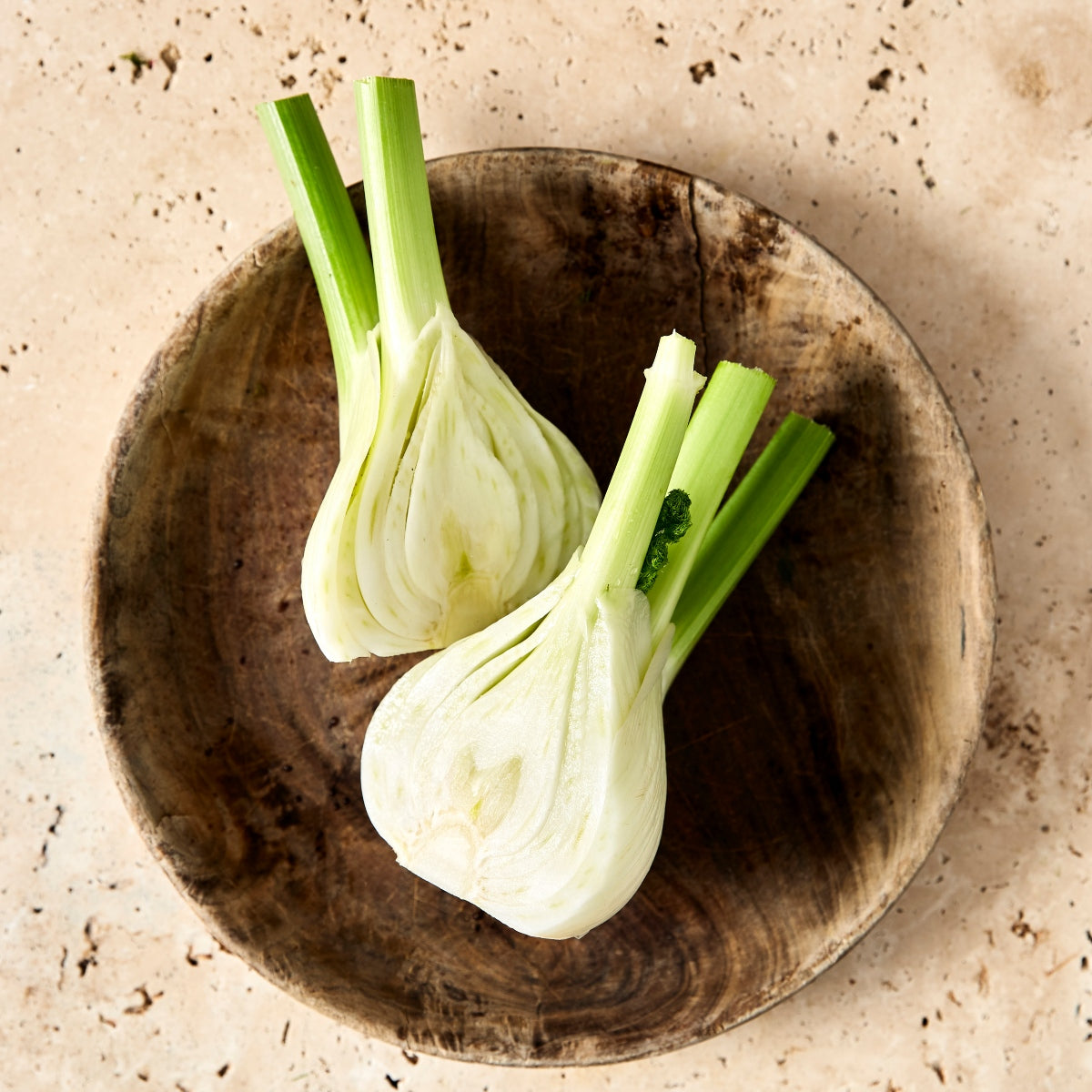 Fennel, a guide