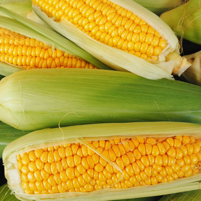 fresh corn pick of the week