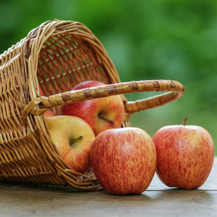 Apples, a dietitian's guide