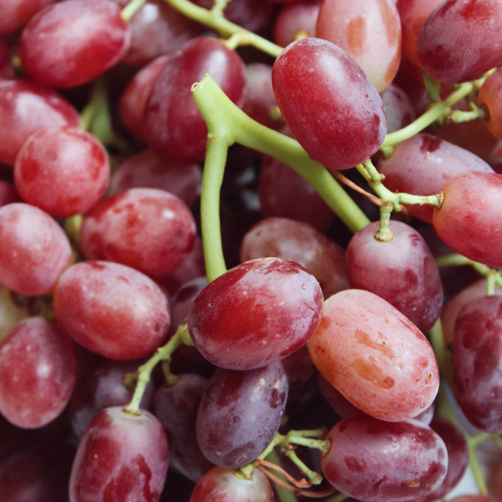 grapes pick of the week harris farm