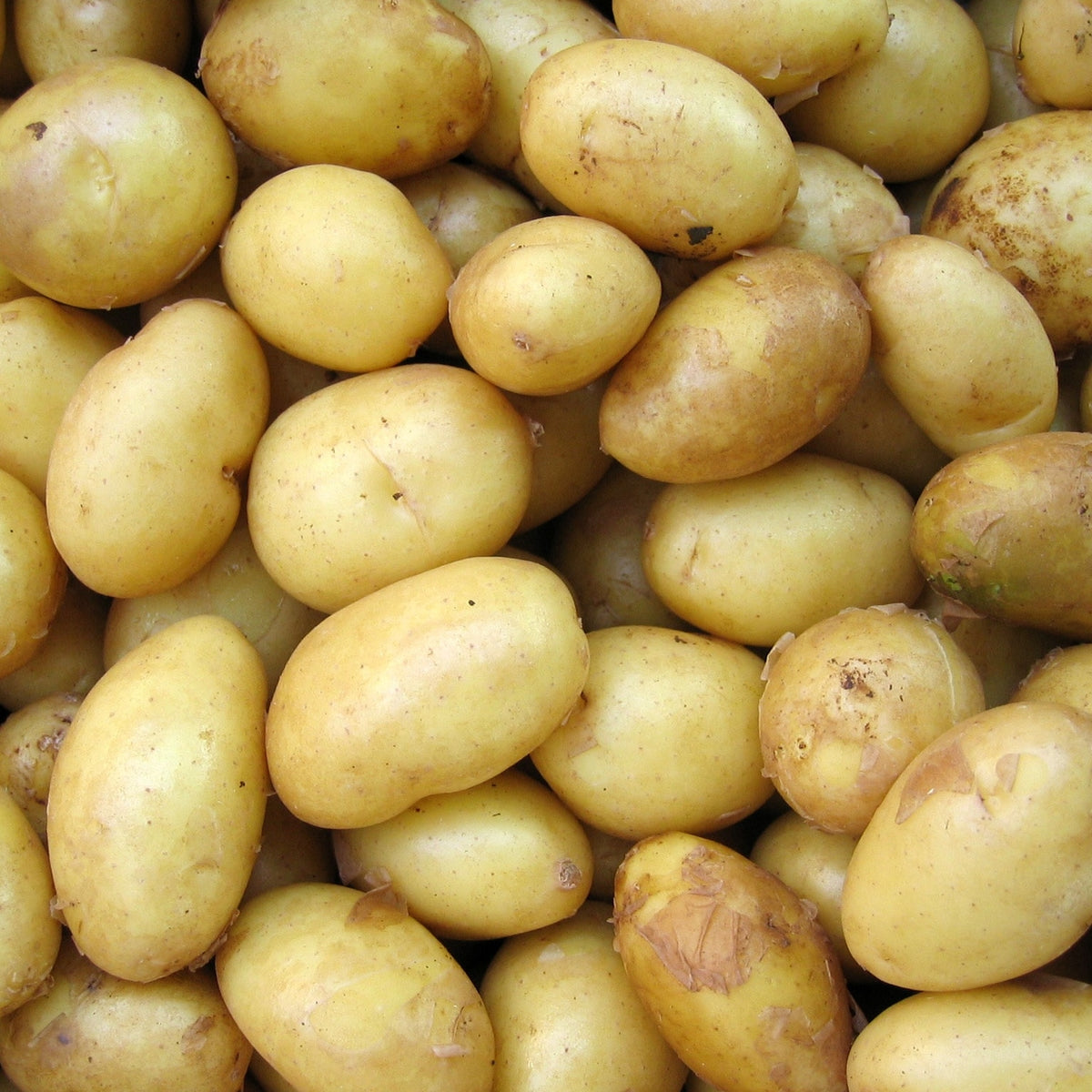 Pick of the Week - Cocktail Potatoes