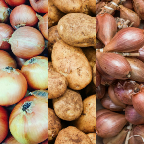 pick of the week tassie onions, eschallots, nicola potato