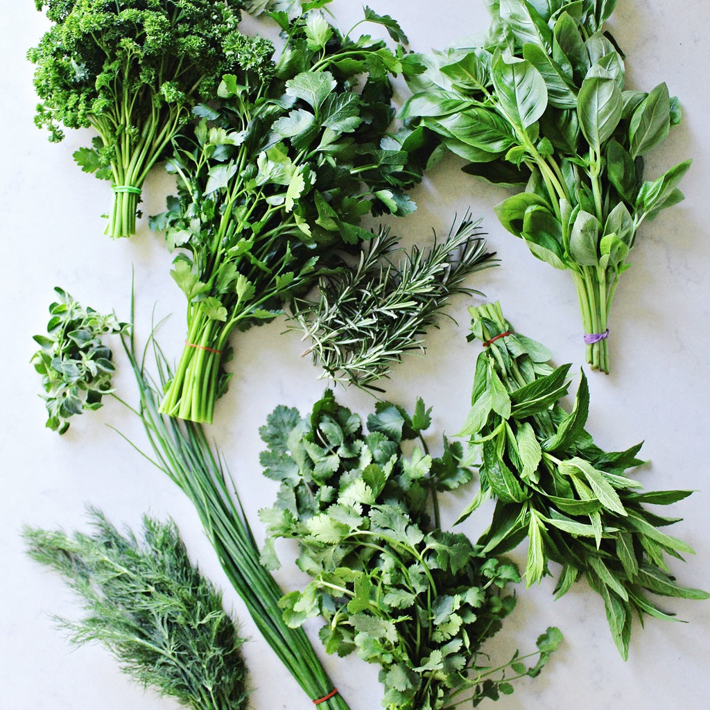 Our Field Guide To Fresh Herbs (Plus lots of ways to add some herb-zazz to your life)
