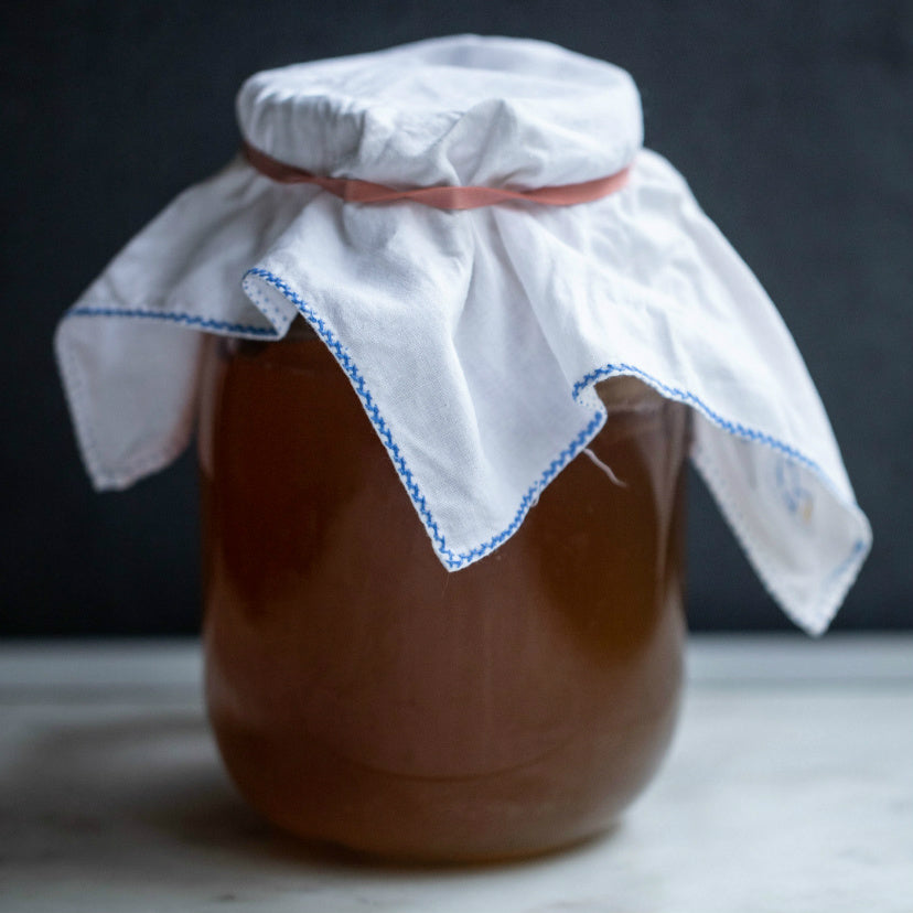 homemade kombucha recipes
