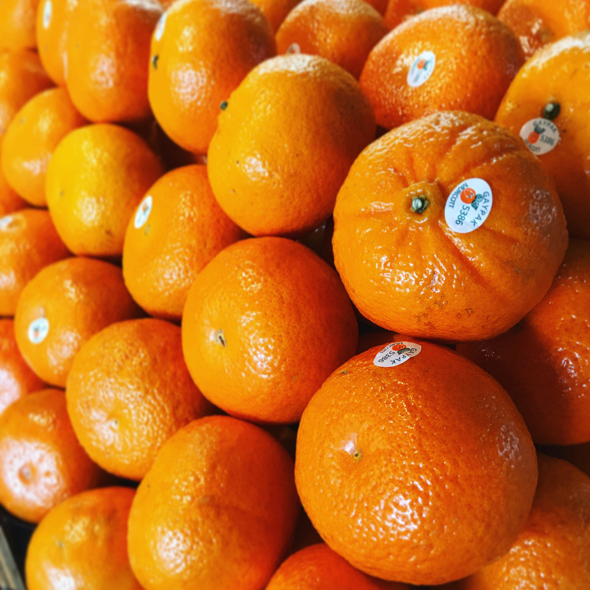 Pick of the Week - Honey Murcott Mandarins
