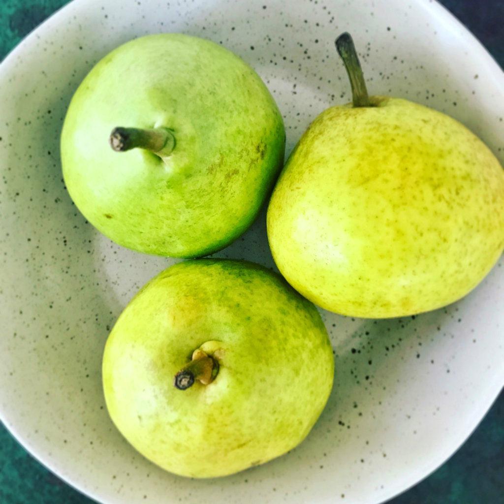 Pick of the Week - Josephine Pears