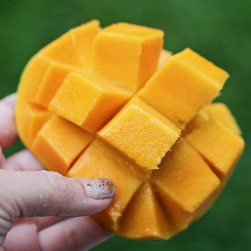 Pick of the Week - Darwin Kensington Pride Mangoes
