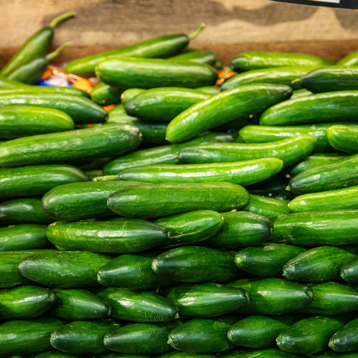 Dave's Pick of the Week - Lebanese Cucumbers
