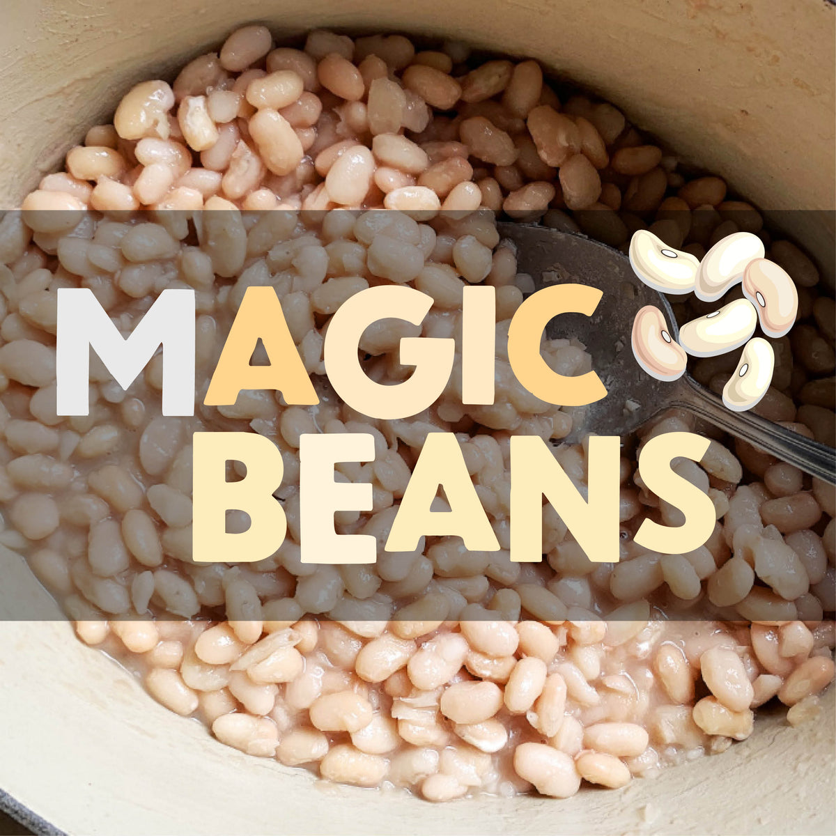magic beans guide harris farm