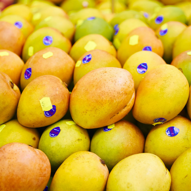 kensington pride mangoes pick of the week