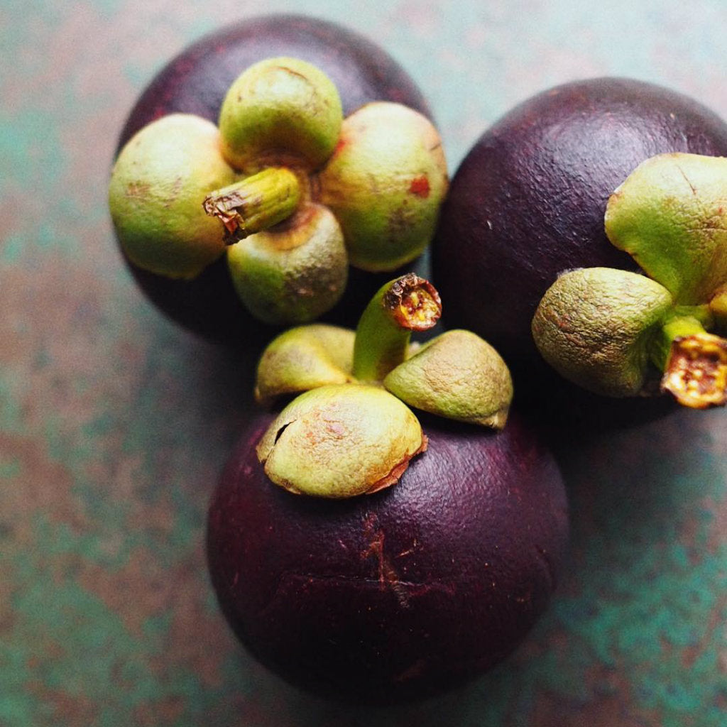 Pick of the Week - Mangosteens
