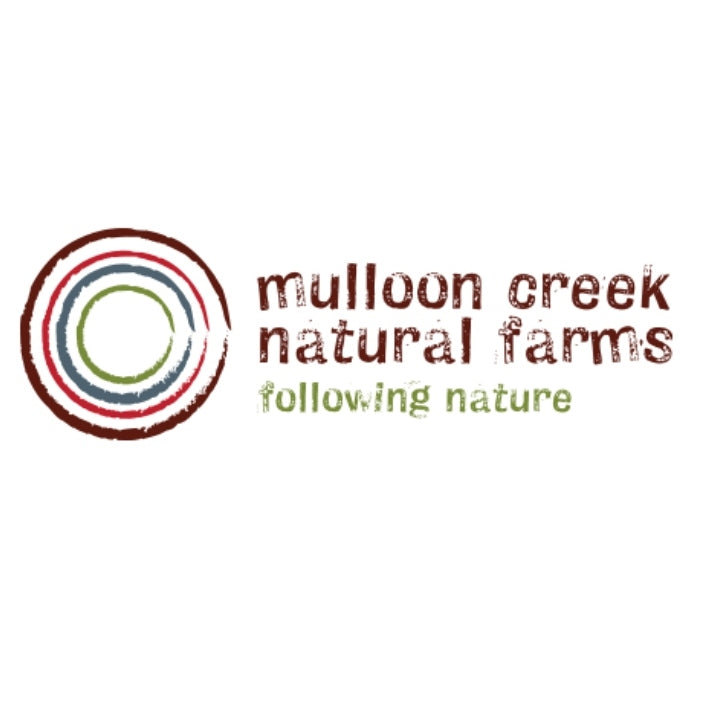Our Regen Partner: Mulloon Creek Natural Farm