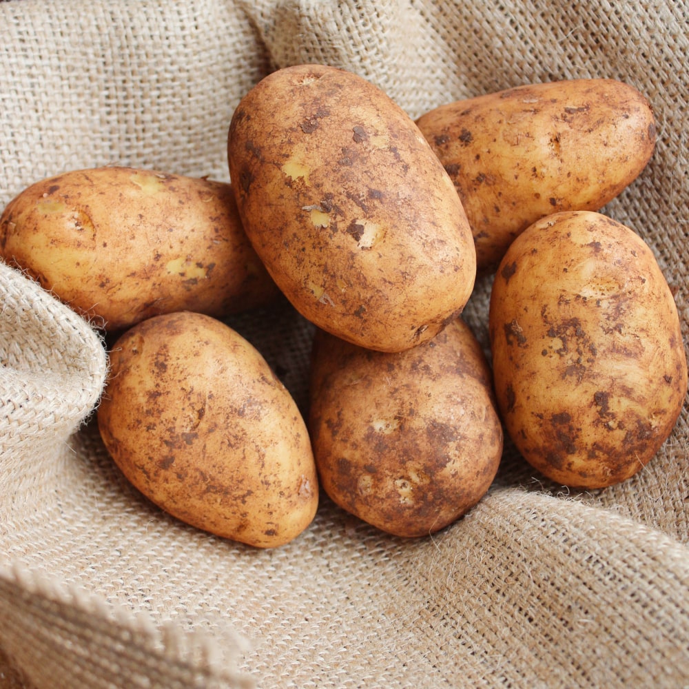 Pick of the Week - Nicola Potatoes