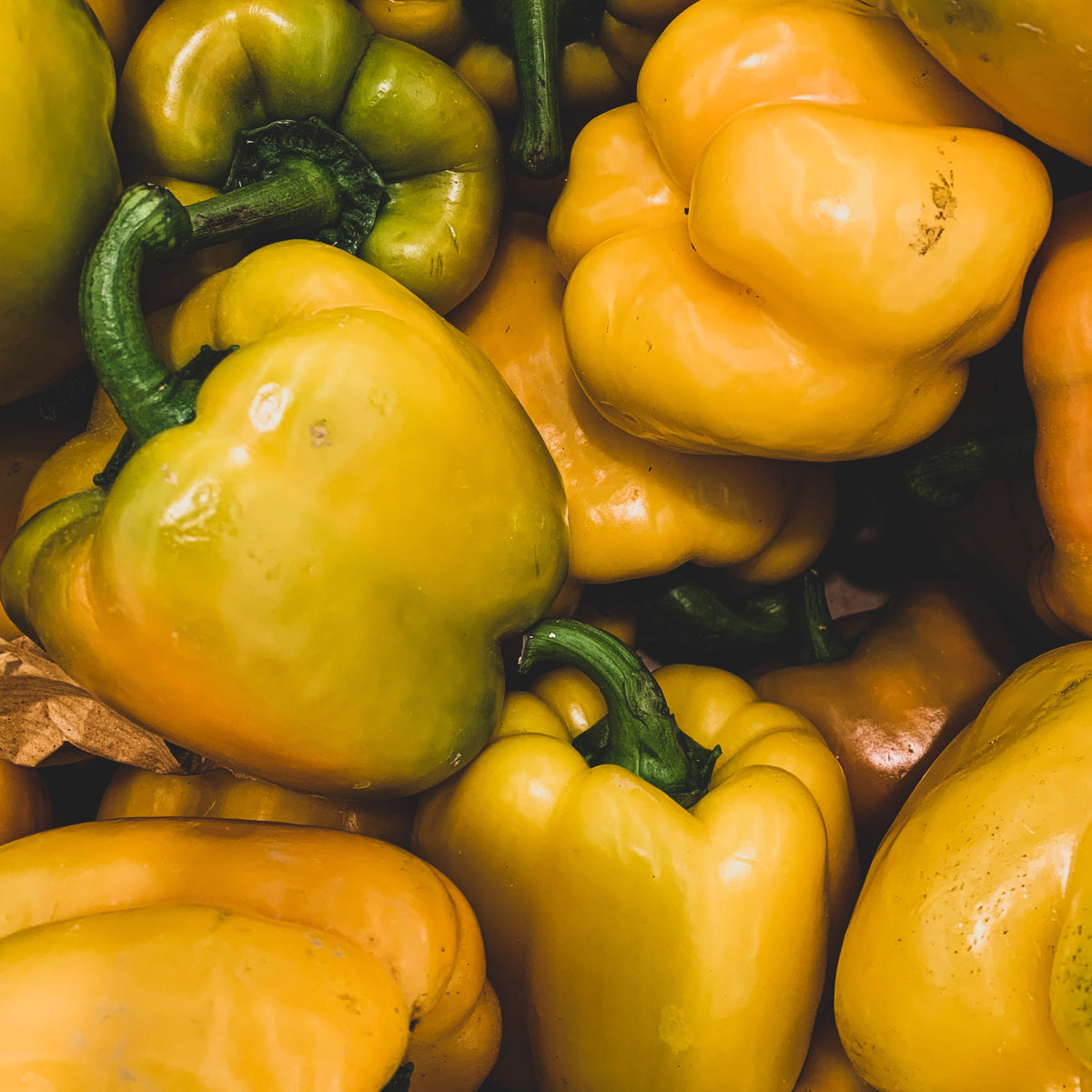 Dave's Pick of the Week - Yellow Capsicums