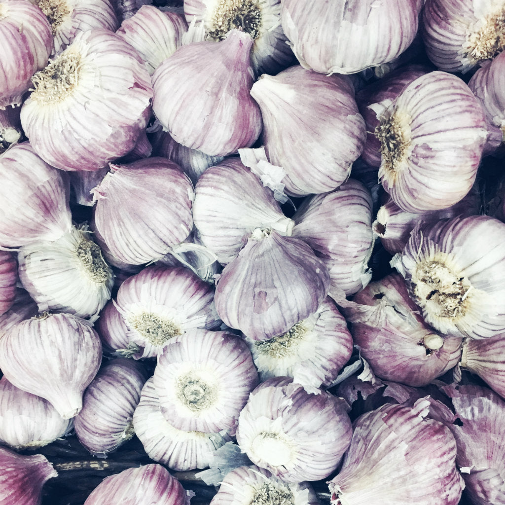 Pick of the Week - Garlic