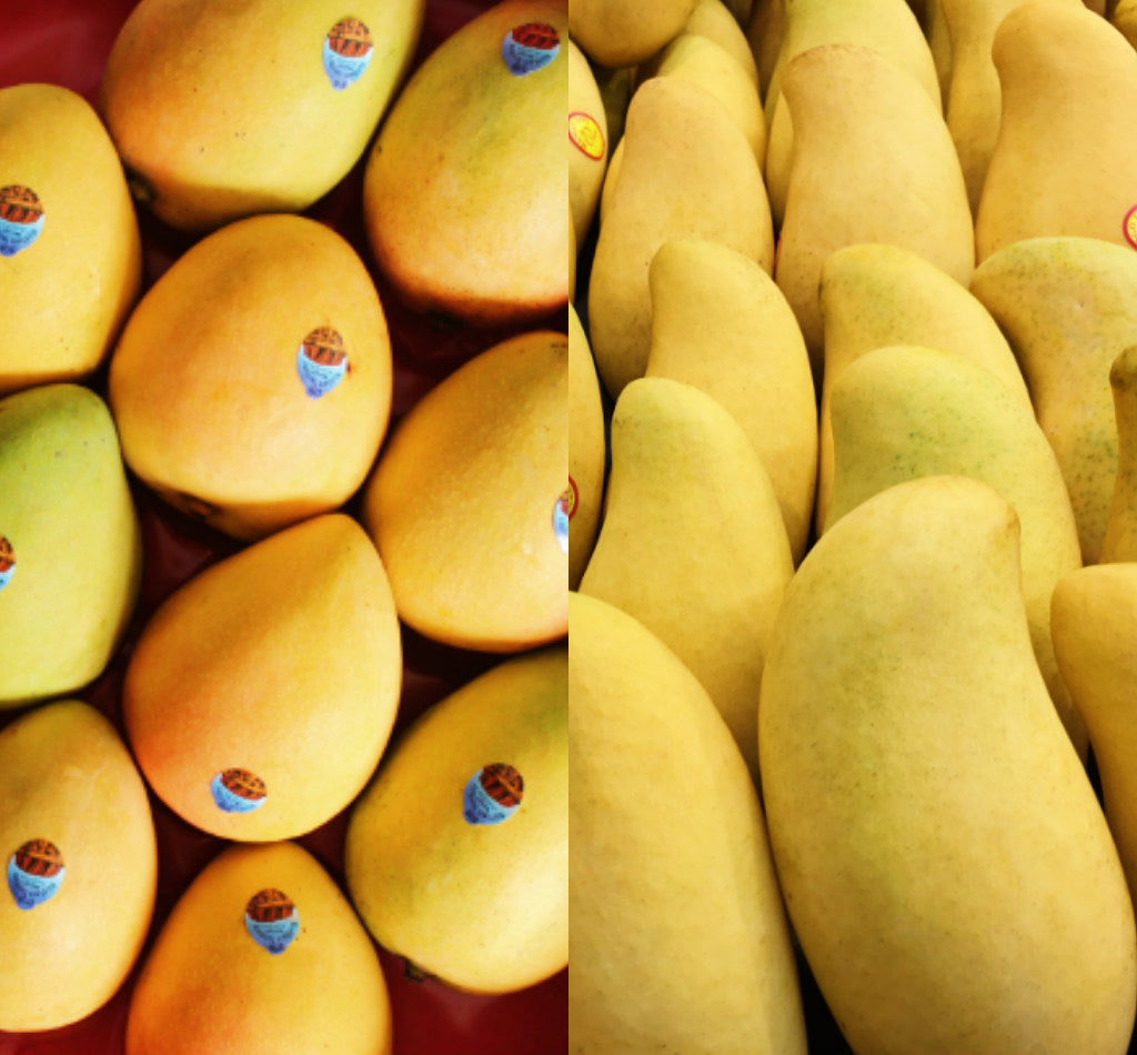 Pick of the Week - New Season Northern Territory Mangoes